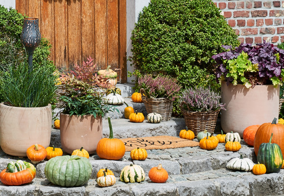 L’automne commence à votre porte