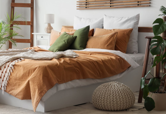 Un climat de sommeil sain grâce aux plantes d’intérieur