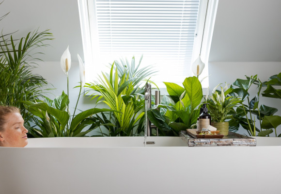 Du vert adapté à la salle de bain