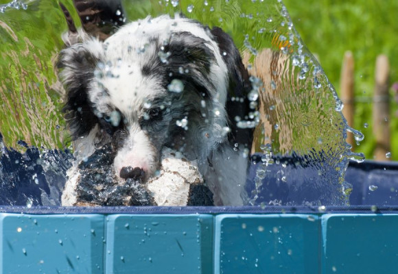 Rafraîchissement pendant les chaudes journées d’été