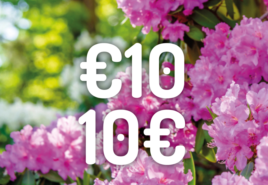 10 euro en juin