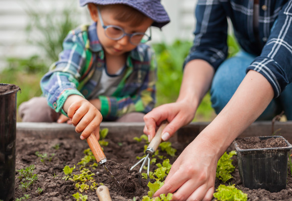 Jardiner sans pesticides, c'est possible !