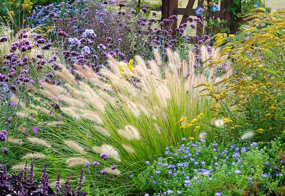 Embellissez votre jardin avec des graminées ornementales envoûtantes