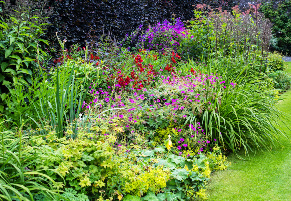 Astuces pour un jardin d’été fleuri