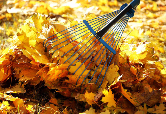 Calendrier de jardin octobre