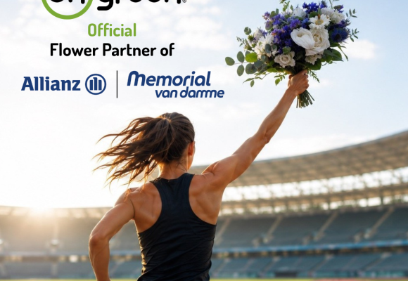 Allianz Memorial van Damme
