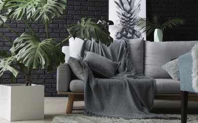 Adieu sapin de Noël… Bonjour grandes plantes d’intérieur !