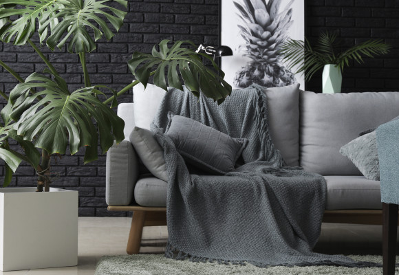 Adieu sapin de Noël… Bonjour grandes plantes d’intérieur !