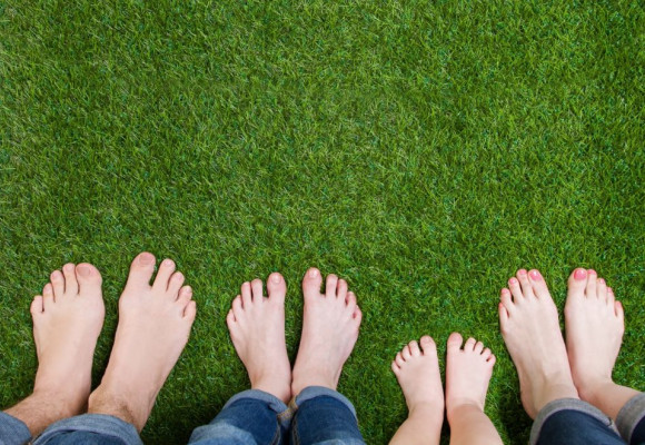 Une pelouse en pleine forme