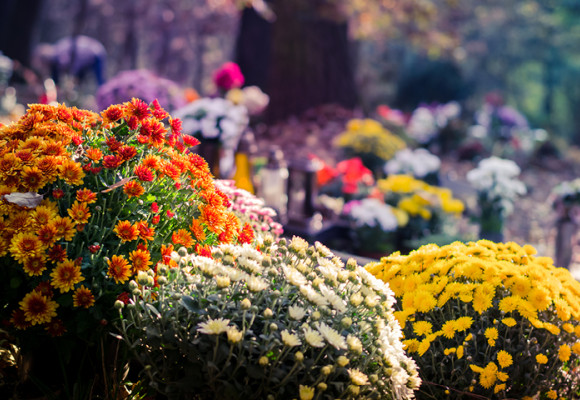 Compositions florales et fleurs pour la Toussaint