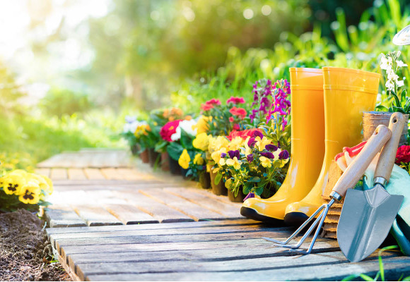 Alles voor jouw tuin