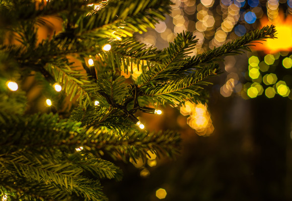 Hoeveel kost het om een kerstboom te verlichten?