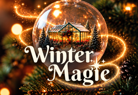 Wintermagie Shoppingweekend