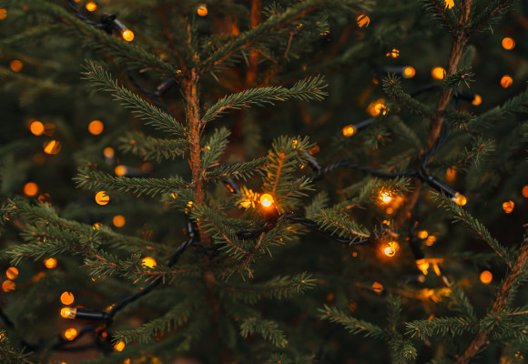 Kerstverlichting kiezen: laat jouw huis en kerstboom stralen