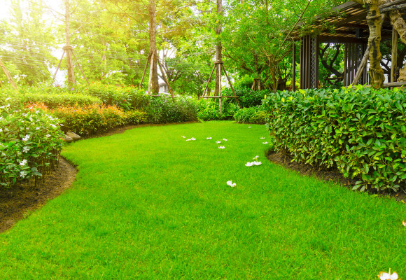 Het perfecte gazon