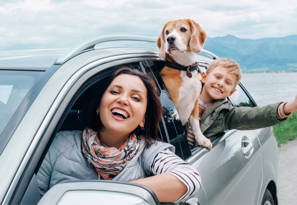 Tips: op vakantie met je viervoeter