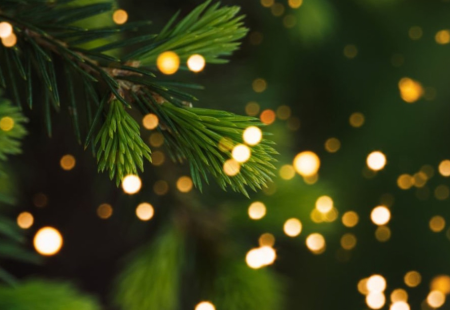 Gratis ledverlichting bij kunstkerstboom