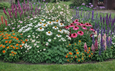 Kleur bekennen in je border