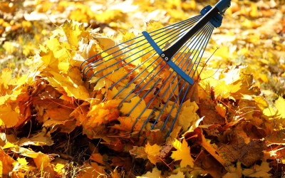 Tuinkalender oktober