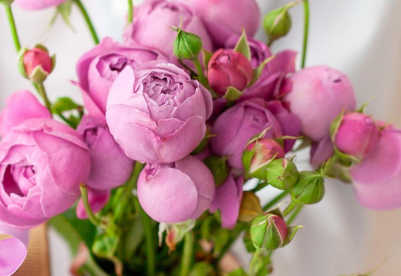 De leukste en groenste valentijnscadeaus voor hem en haar